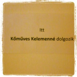 1394355_10152050843199883_760412121_n